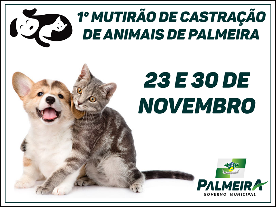 Administração realizará o primeiro mutirão de castração de animais