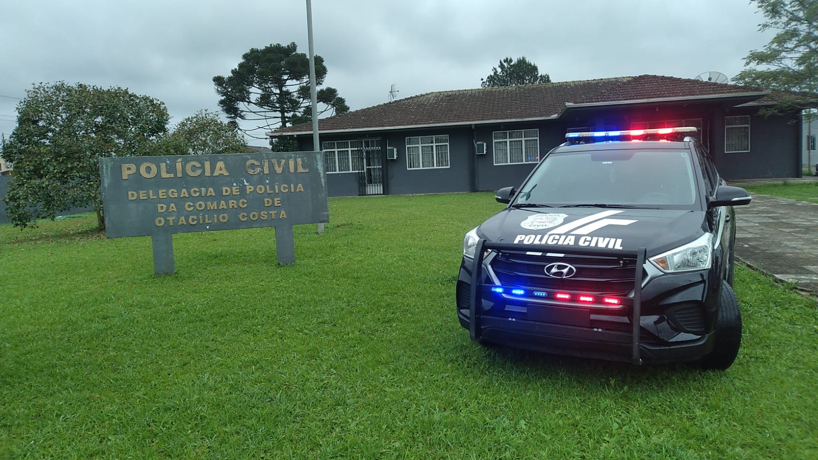 Policia civil de Palmeira  faz apreensões contra o tráfico de drogas e comércio ilegal de armas de fogo na operação "Mercator"