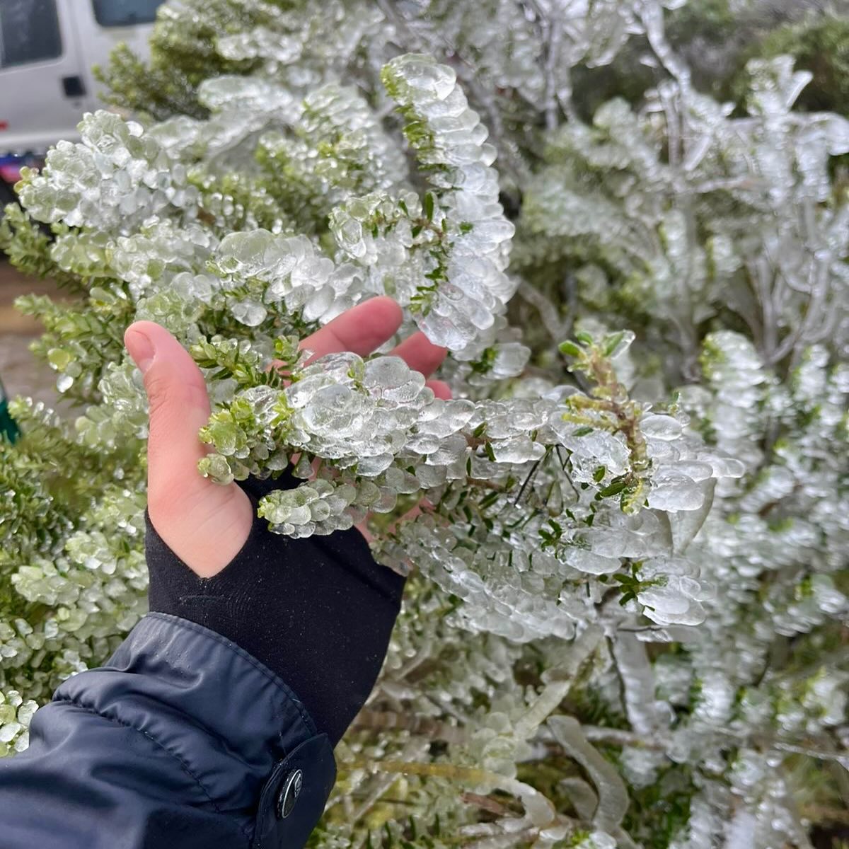 Defesa civil faz recomendações com a chegada da neve em alguns municípios de SC